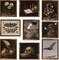 9Pcs Dark Academia Halloween Wall Art Prints – Vintage Witch, Skull & Floral Gothic Posters for Bedroom, Living Room & Gallery Wall, 8x10 & 8x8 Inches (Unframed)